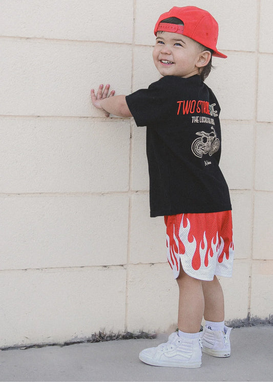 Heater Mesh Shorts Red